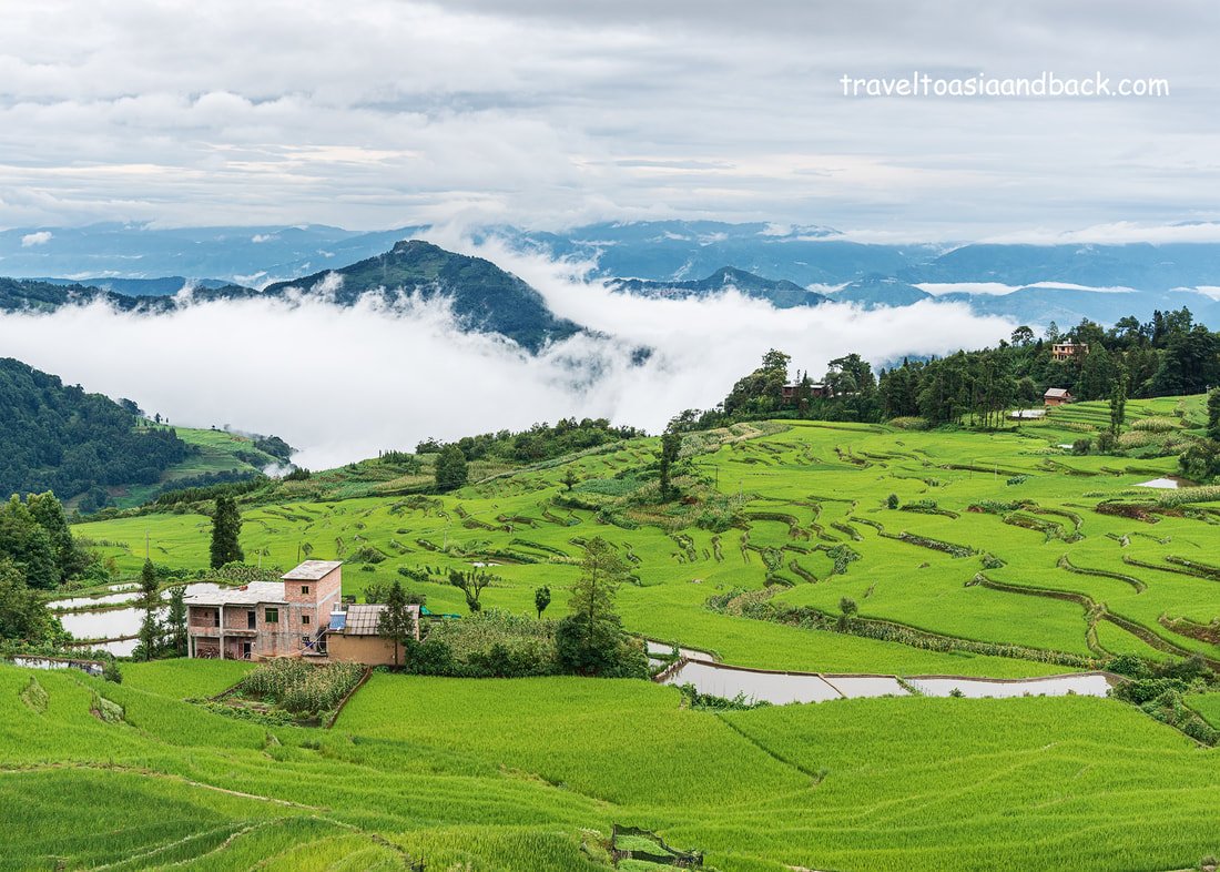 Darjeeling 2N/3D Tour Package🌿