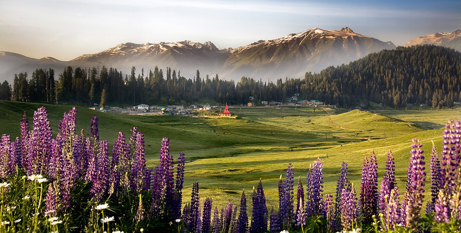 🏷️Kashmir Paradise Escape – 6 Nights / 7 Days (3★ Comfort Stay)