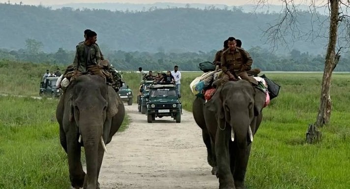 🐅 Exciting Jim Corbett National Park Wildlife Tour Package🌿🚙